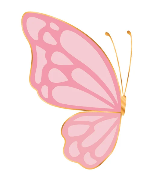 Poloviční růžový motýlí vektor design — Stockový vektor