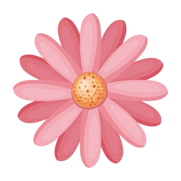 Geïsoleerde roze bloem vector ontwerp — Stockvector