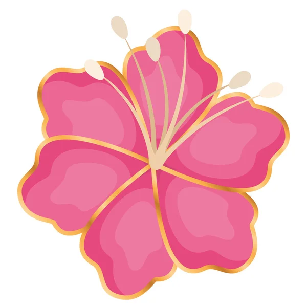 Isolated pink hawaiian flower vector design — Stock Vector