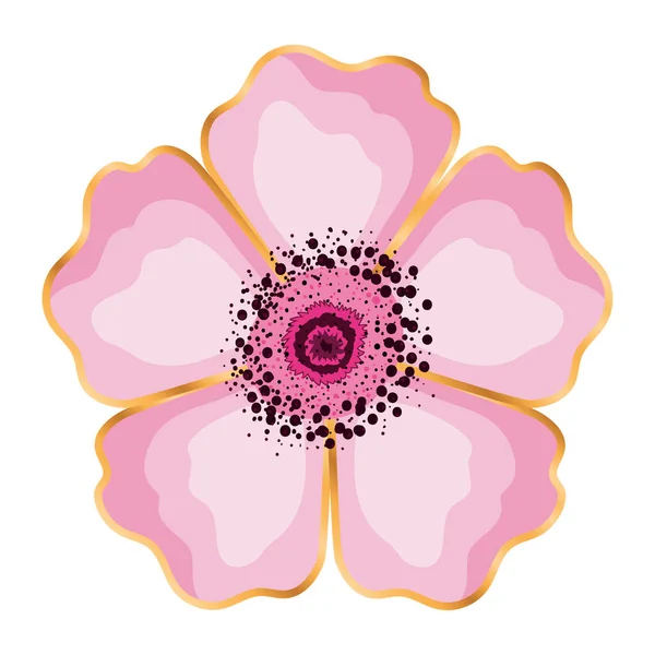 Ізольована рожева квітка Векторний дизайн — стоковий вектор