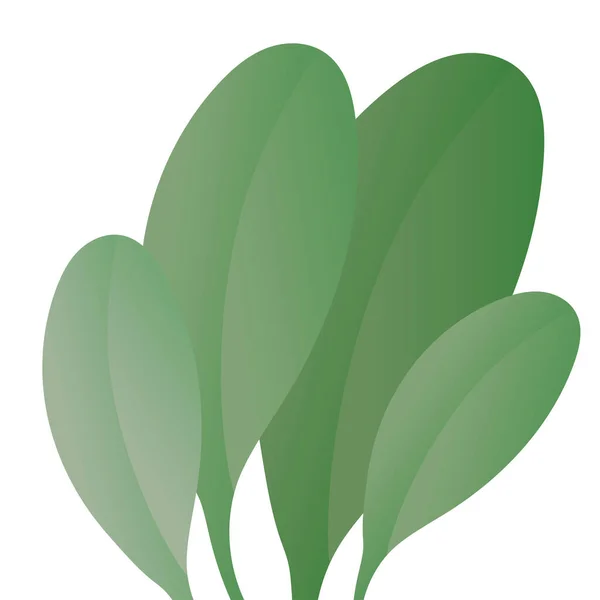 Изолированный вектор зеленых листьев — стоковый вектор