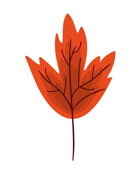Desenho isolado do vetor da folha laranja — Vetor de Stock