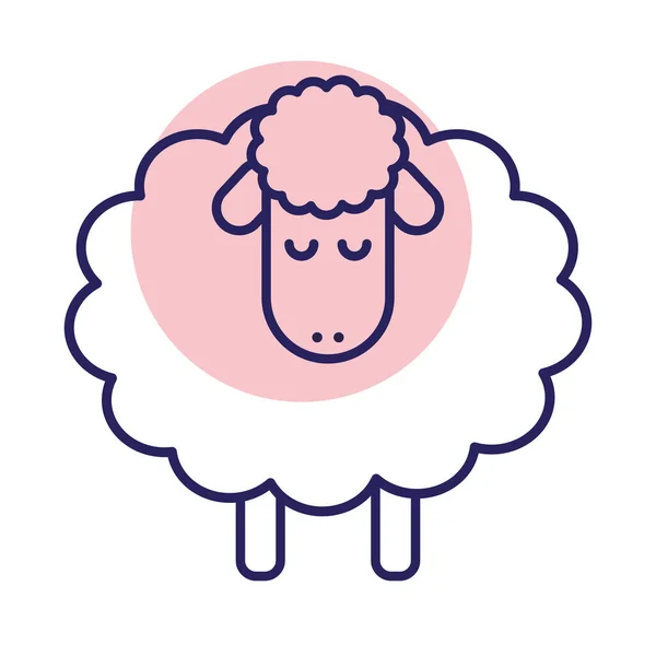 Lindo ovejas línea de dibujos animados estilo icono de diseño de vectores — Vector de stock