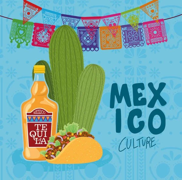 México cultura con tequila botella taco y cactus vector diseño — Vector de stock