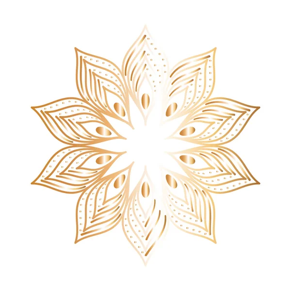 Ornamento en forma de flor con plumas de oro vector de diseño — Vector de stock