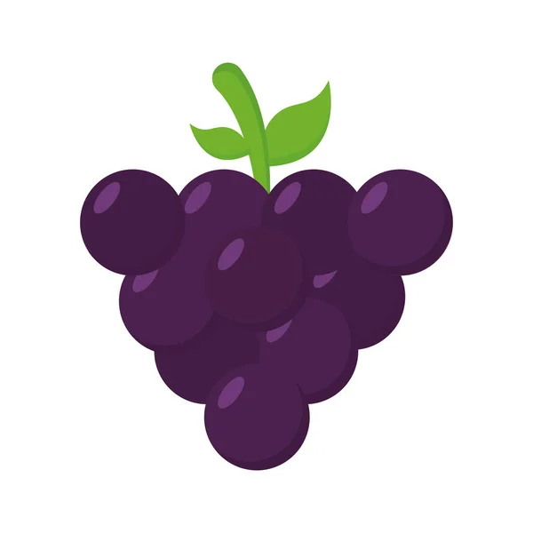 Uvas fruta icono vector de diseño — Vector de stock