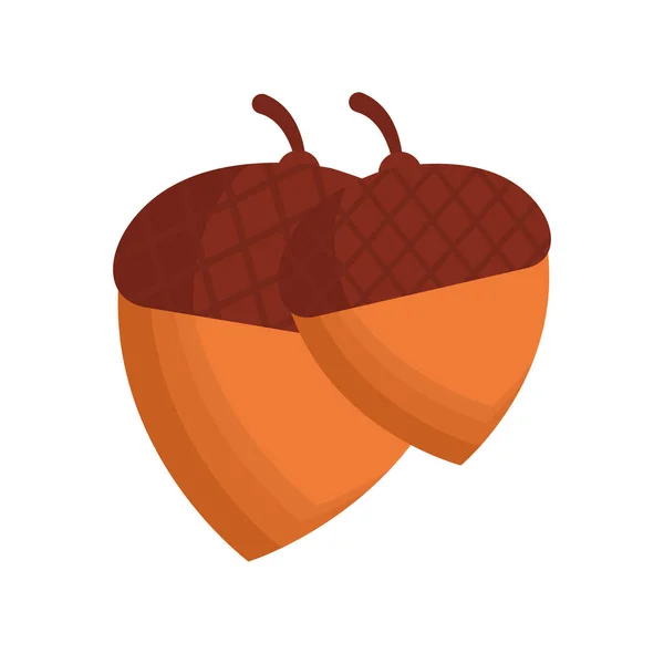 Isolated acorns fruit vector design — Stock Vector