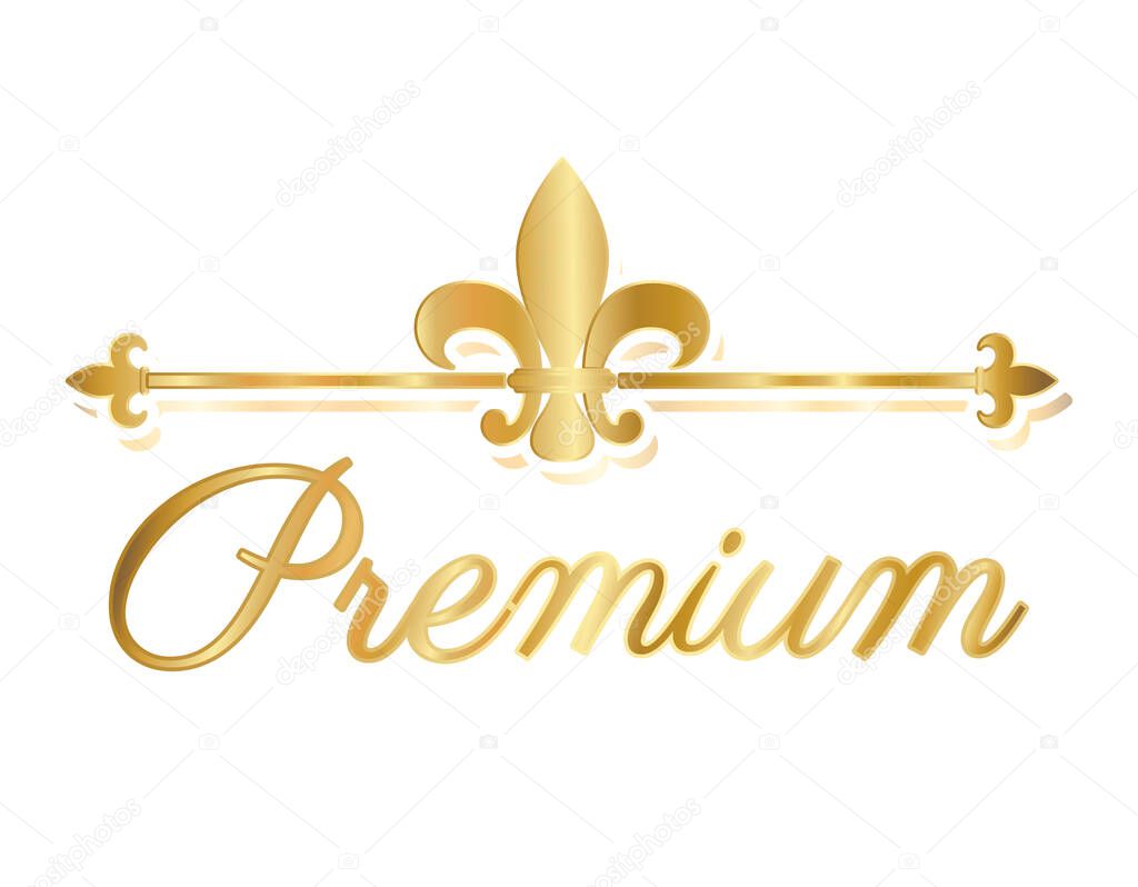 premium with divider ornament gold vector design