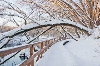 Kış park Nehri boyunca iz