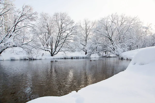 Árboles Bajo Nieve Río Día Invierno — Foto de Stock