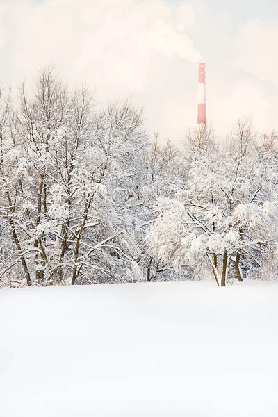 trees under a snow and factory pipe in winter