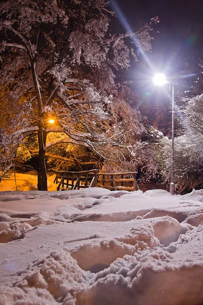 Puente Parque Noche Invierno —  Fotos de Stock