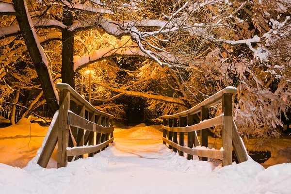 Деревянный Мост Парке Зимний Вечер — стоковое фото