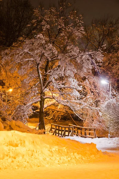 Ponte Legno Nel Parco Cittadino Sera Inverno — Foto Stock