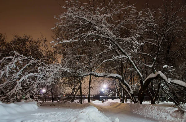 Sendero Nevado Luz Calle Noche Invierno —  Fotos de Stock