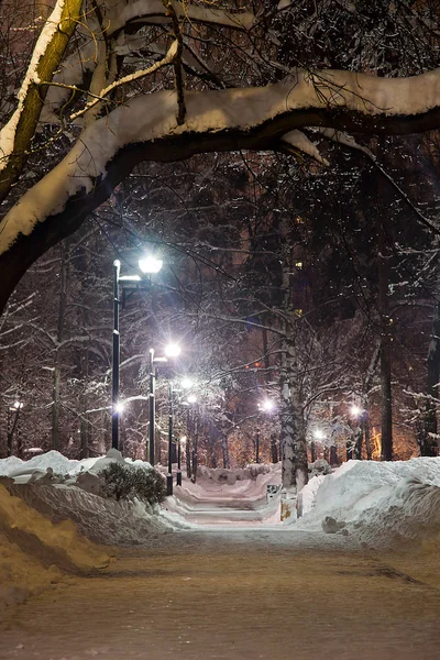 Camino Nevado Farola Noche Invierno —  Fotos de Stock