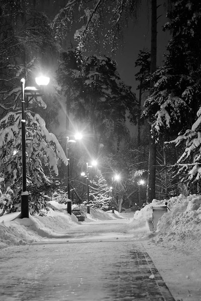 Sendero Nevado Luz Calle Invierno Noche Blanco Negro —  Fotos de Stock