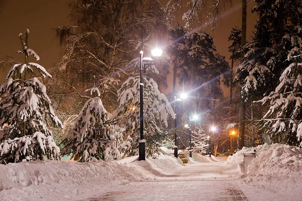 Sendero Nevado Lámpara Calle Noche Invierno —  Fotos de Stock