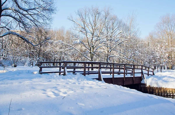 Puente Madera Parque Invierno Nevado — Foto de Stock