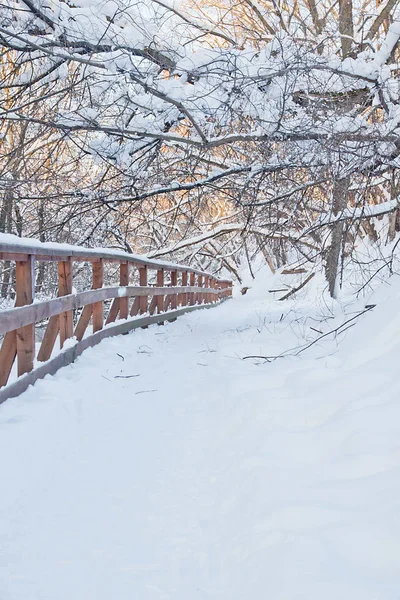 겨울에 공원에 울타리와 스노우 트레일 — 스톡 사진