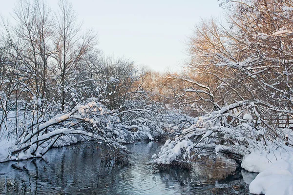 Río Bosque Día Invierno — Foto de Stock