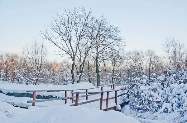 Drewniany Most Snowy Szlak Parku Zimie — Zdjęcie stockowe