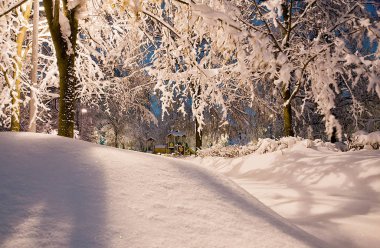 Snowdrifts ve kış park akşam içinde ağaçlar