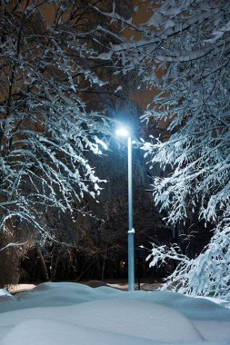 sokak lambası, ağaçlar ve snowdrifts akşam kış parkta