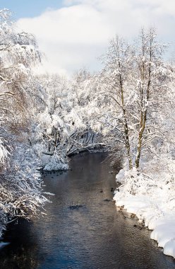 nehir ve ağaçlar bir kıyısında karda