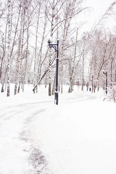 Farola Sendero Parque Ciudad Invierno — Foto de Stock