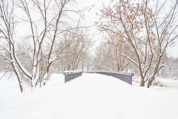 Árboles Puente Parque Ciudad Invierno — Foto de Stock