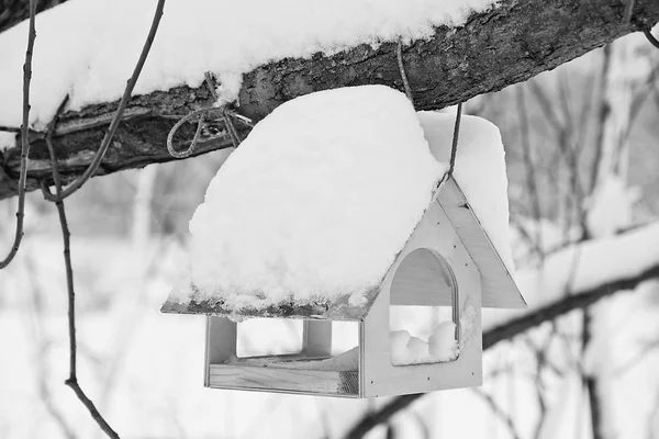 Ptačí Krmítko Strom Zimě Park Černá Bílá — Stock fotografie