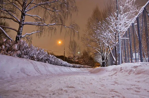 雪に覆われた道と冬の公園夜の木 — ストック写真
