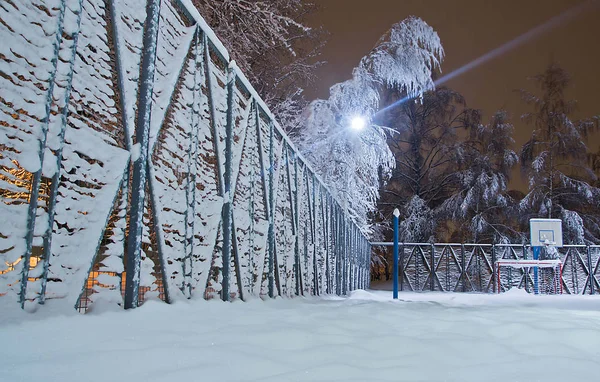 Árboles Parque Infantil Parque Invierno Por Noche —  Fotos de Stock