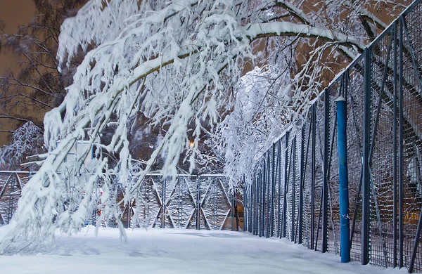 Parque Infantil Árboles Nieve Por Noche — Foto de Stock