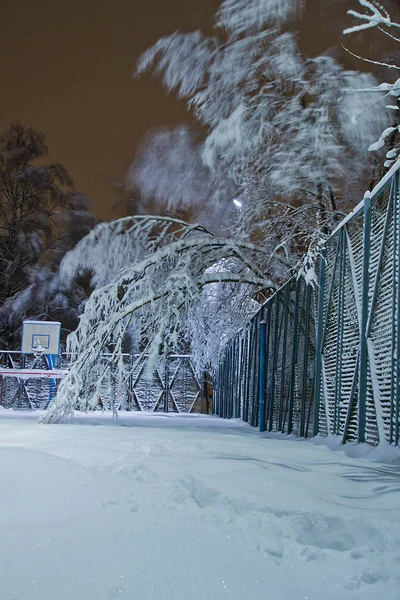 Parque Infantil Árboles Nieve Por Noche — Foto de Stock