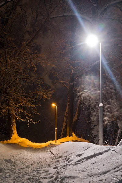 Farola Sendero Nieve Parque Invierno Por Noche — Foto de Stock