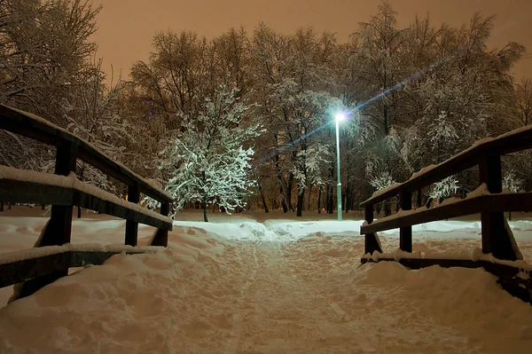 Trilha Lâmpada Rua Parque Inverno Noite — Fotografia de Stock