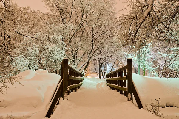 Bron Stadsparken Vintern Kvällen — Stockfoto