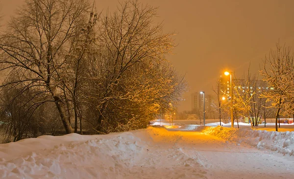 街路灯 公園の雪のトレイル — ストック写真