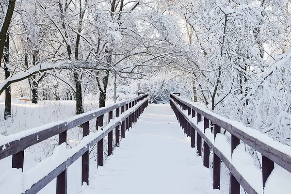 Puente Árboles Bajo Nieve Parque —  Fotos de Stock
