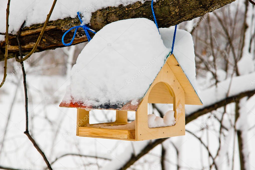 bird feeder on a tree in winter 