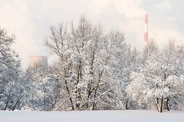 Fabrika borular ve ağaçlar kışın karda