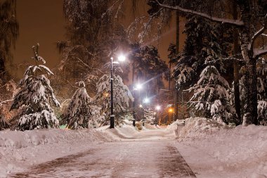 patika akşam kış şehir parkında