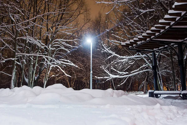 Lampioni Cumuli Neve Alberi Sotto Neve — Foto Stock