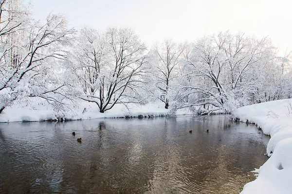 Río Árboles Bajo Nieve Día Invierno — Foto de Stock