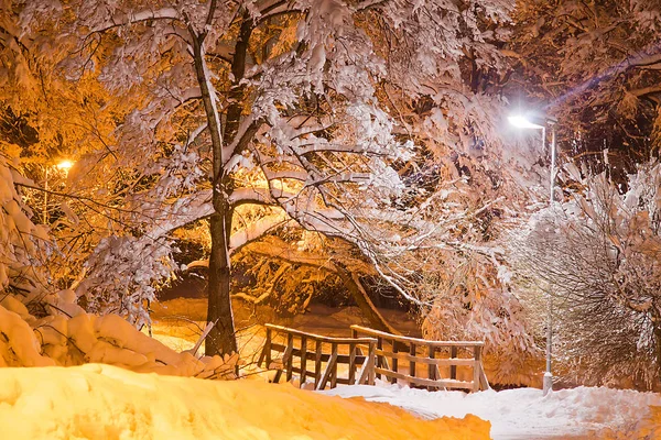 Δέντρα Κάτω Από Χιόνι Και Γέφυρα Στο Χειμωνιάτικο Απόγευμα — Φωτογραφία Αρχείου
