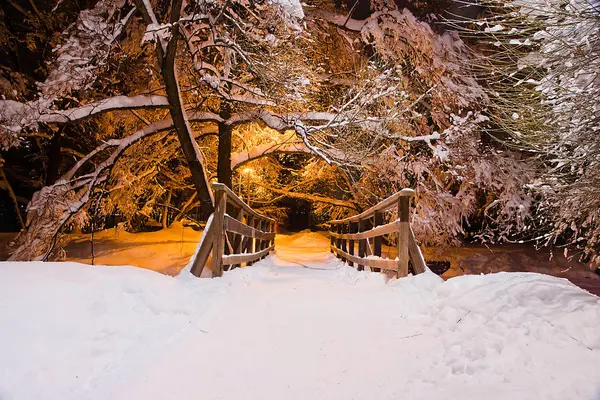 Δέντρα Κάτω Από Χιόνι Και Ξύλινη Γέφυρα Στο Χειμωνιάτικο Απόγευμα — Φωτογραφία Αρχείου