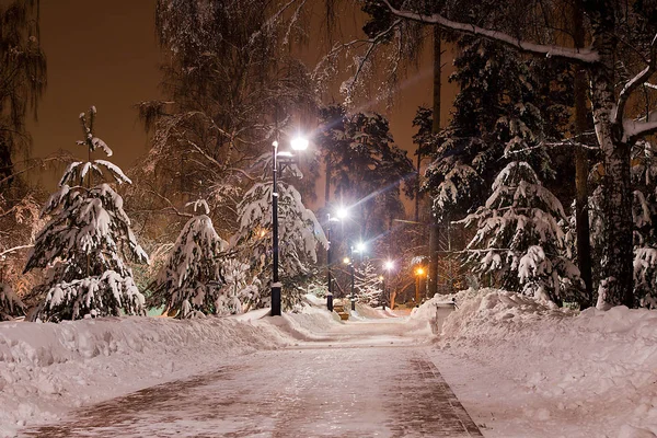 Sentiero Nel Parco Cittadino Invernale Sera — Foto Stock