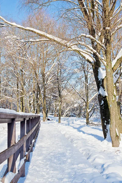 Sendero Parque Ciudad Día Soleado Invierno — Foto de Stock